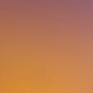 Meet your Posher, Mohamed